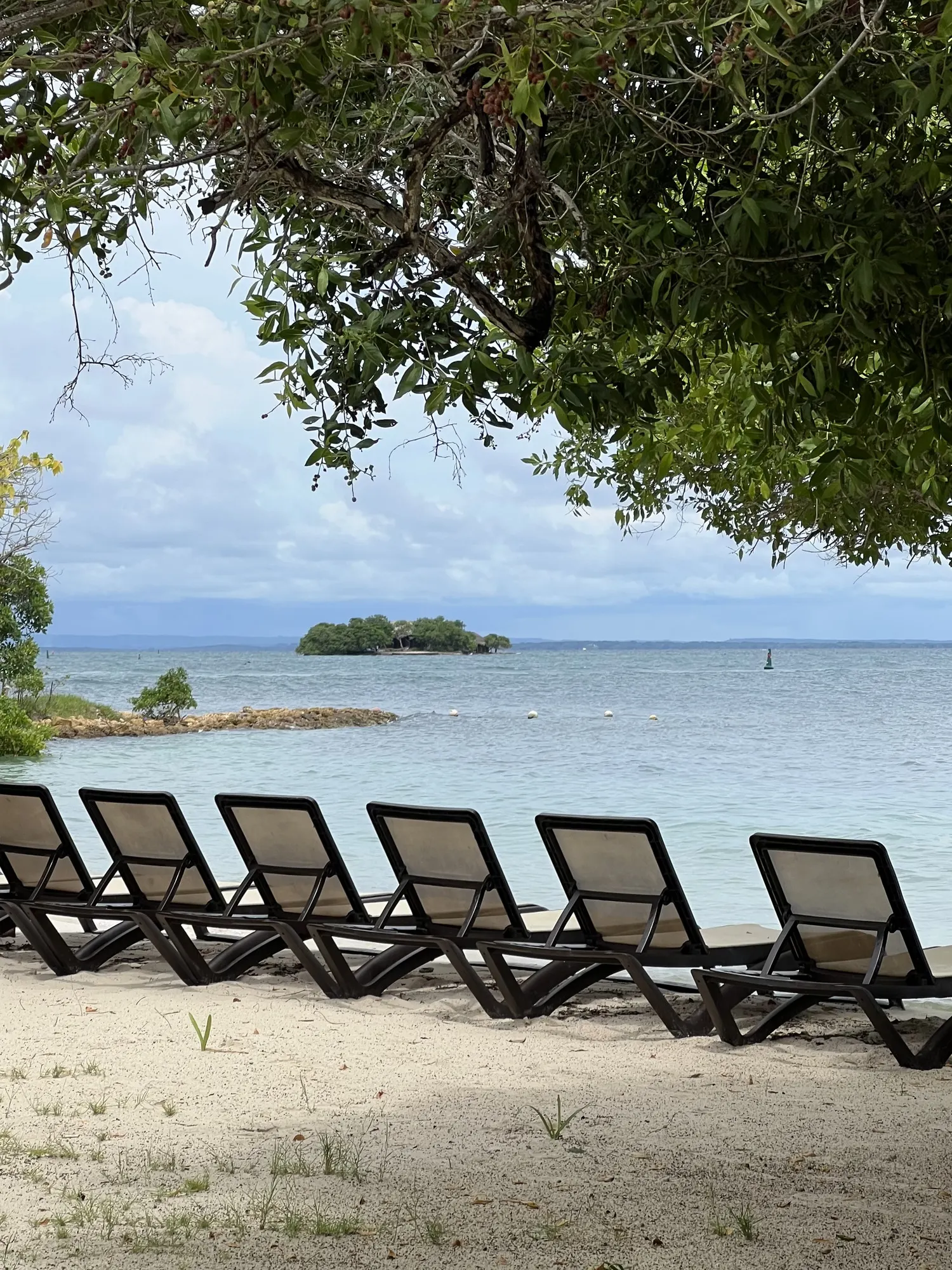Loungers in the shade, facing the islet