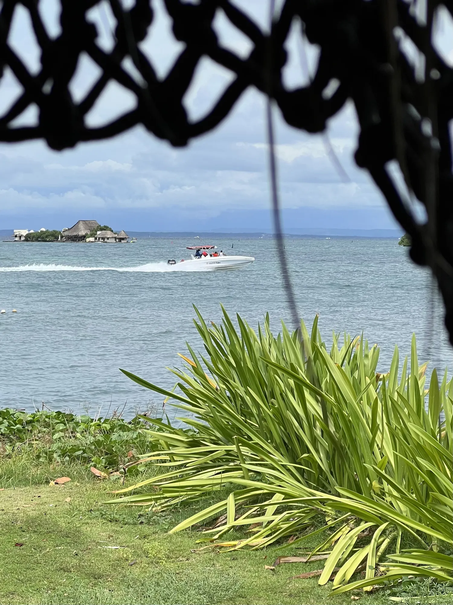 The sea through the greenery, a speedboat passing
