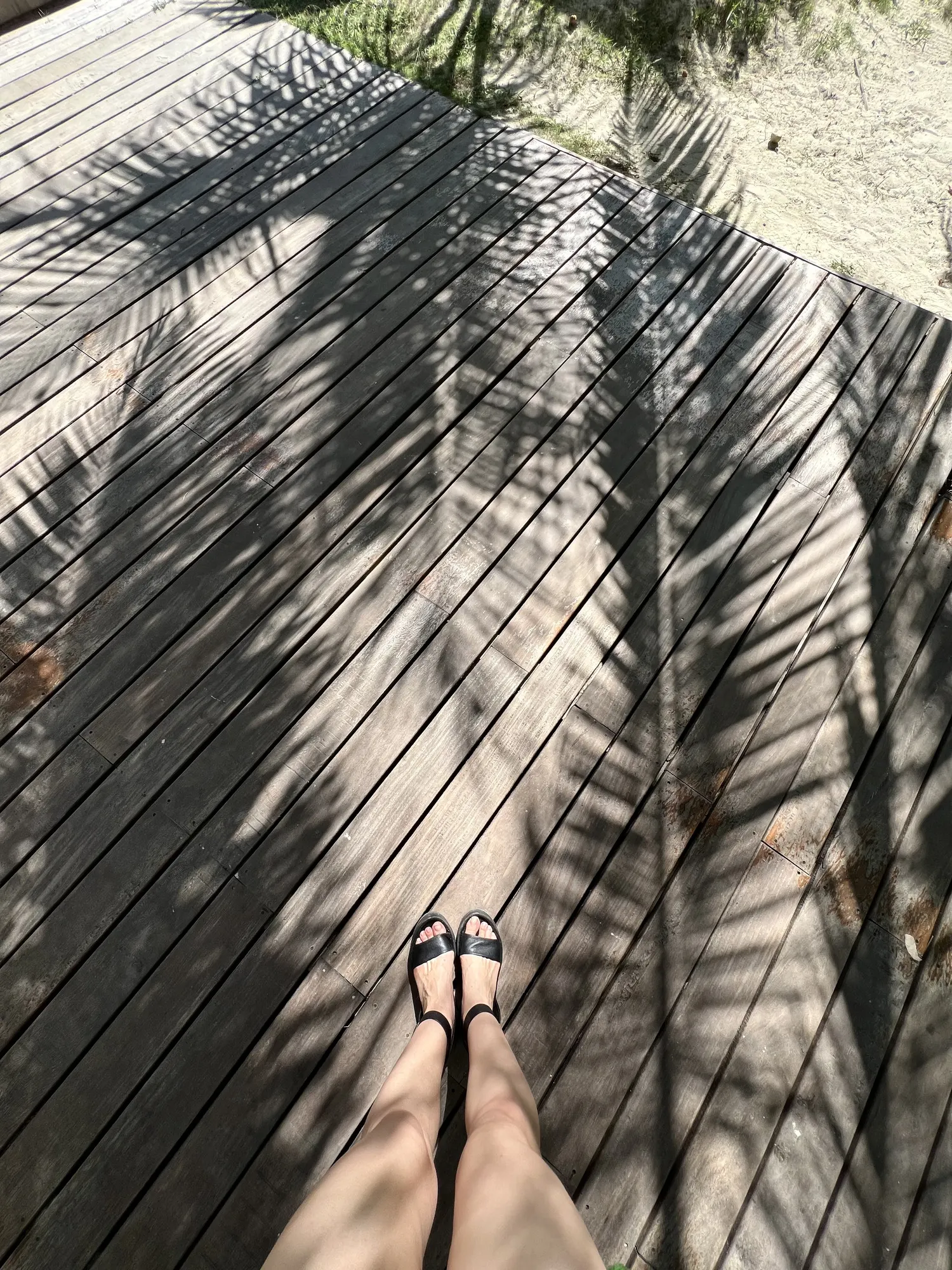 Palm shadows on the deck