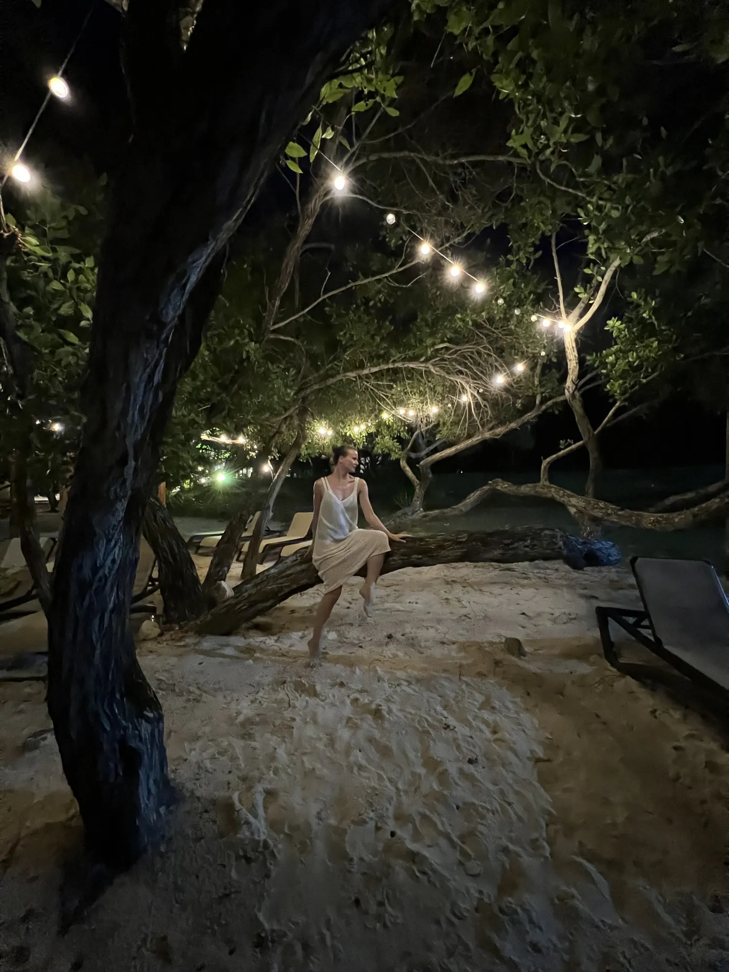 Evening under the string lights