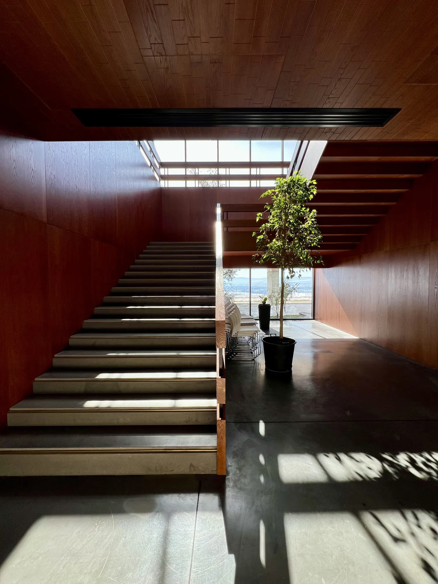 Stairs under a skylight, sun on the floor