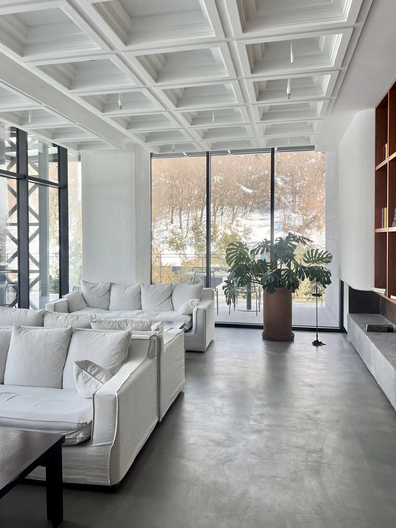 White sofas by the window