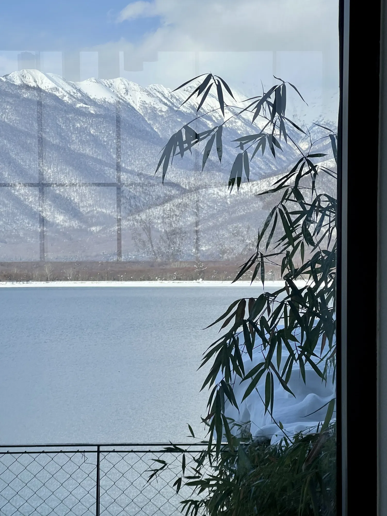 Mountains and the lake through bamboo leaves
